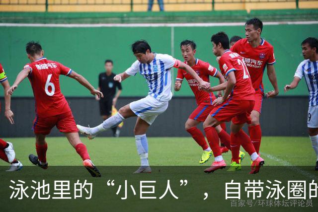 泳池里的“小巨人”，自带泳圈的勇气与坚持