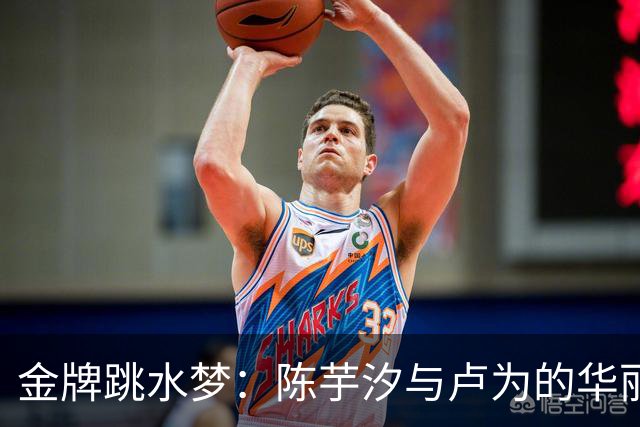 金牌跳水梦：陈芋汐与卢为的华丽对决